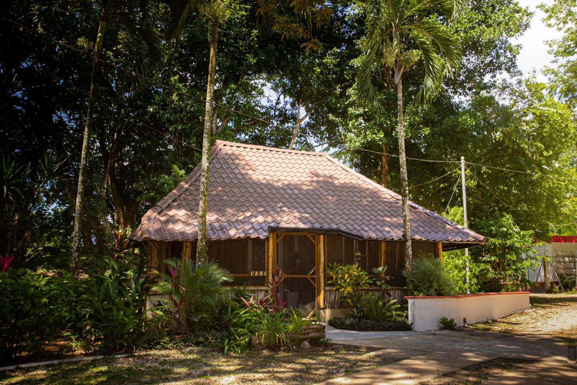 Falling Leaves Lodge San Ignacio Eksteriør billede